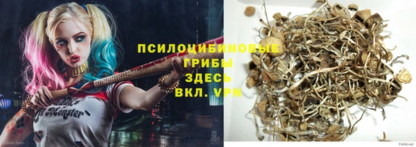apvp Армянск